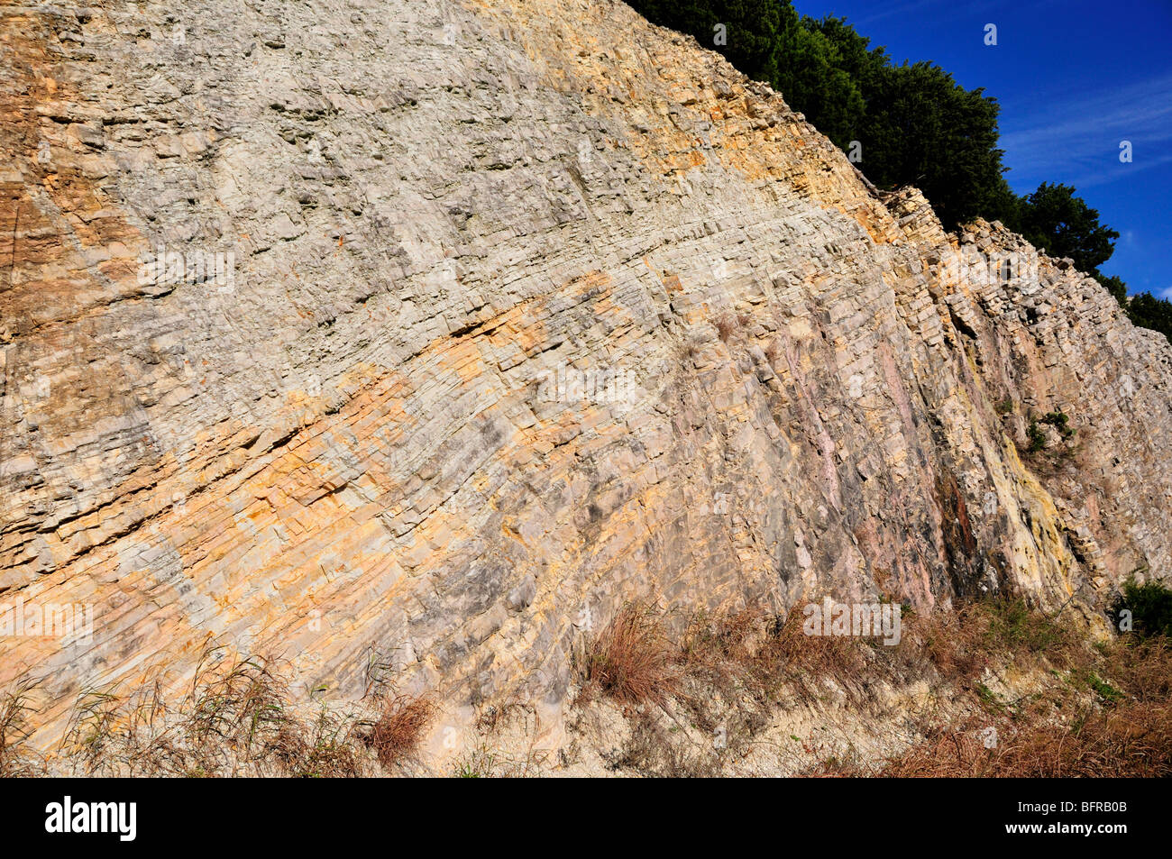 Limestone roadcut. Oklahoma, USA Stock Photo Alamy
