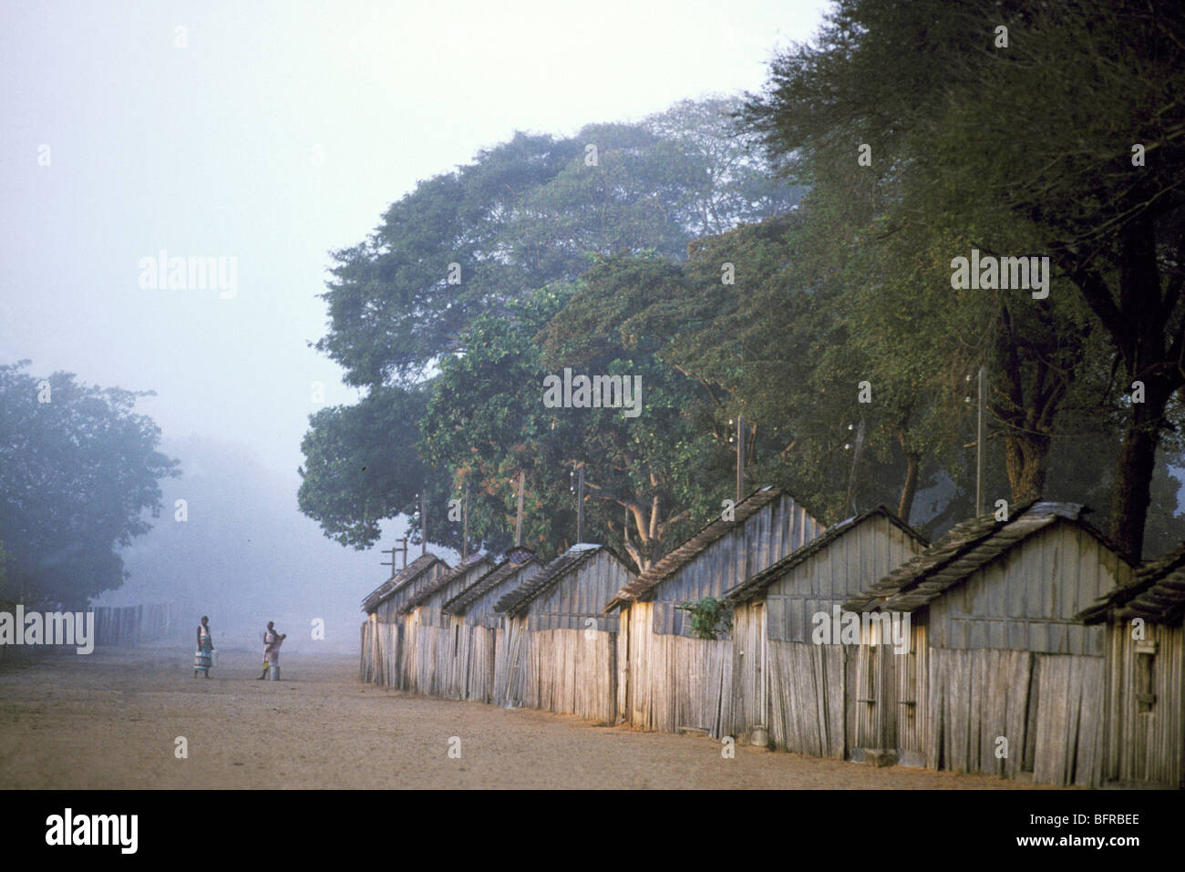 A row of wooden huts on a misty morning Stock Photo