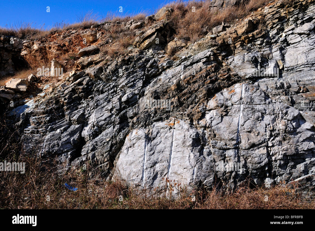 Thrust fault in limestone. Oklahoma, USA. Stock Photo
