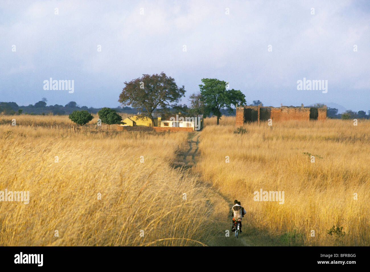 Rural scene near Nampula with two people riding a bicycle along a veld track. Stock Photo