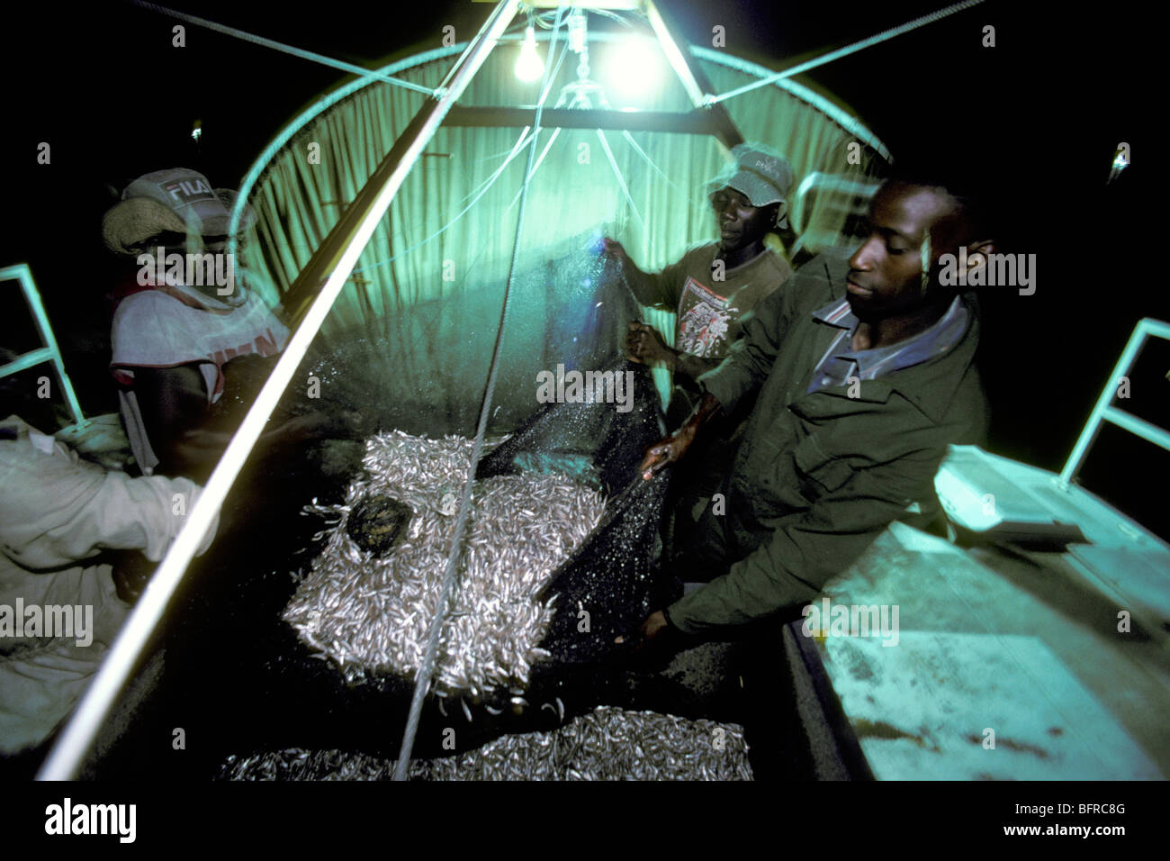 Kapenta fishing boat crew loading netted Kapenta Stock Photo - Alamy