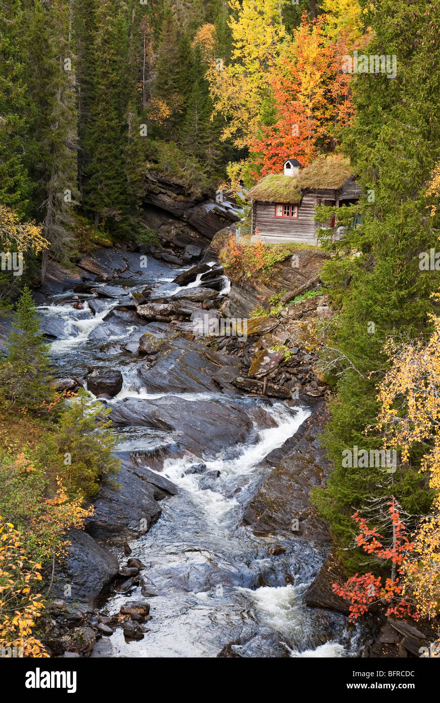 Forest and brook with iconic wooden traditional forest hut in autumn with autumn colours on birches and aspens Åre Jämtland Stock Photo