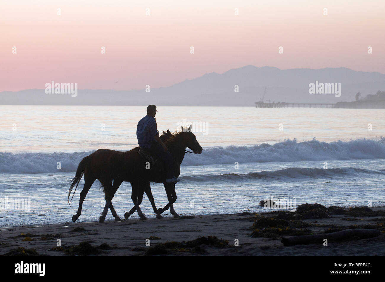 Horseback rider with horses on Rincon Beach Park. Stock Photo
