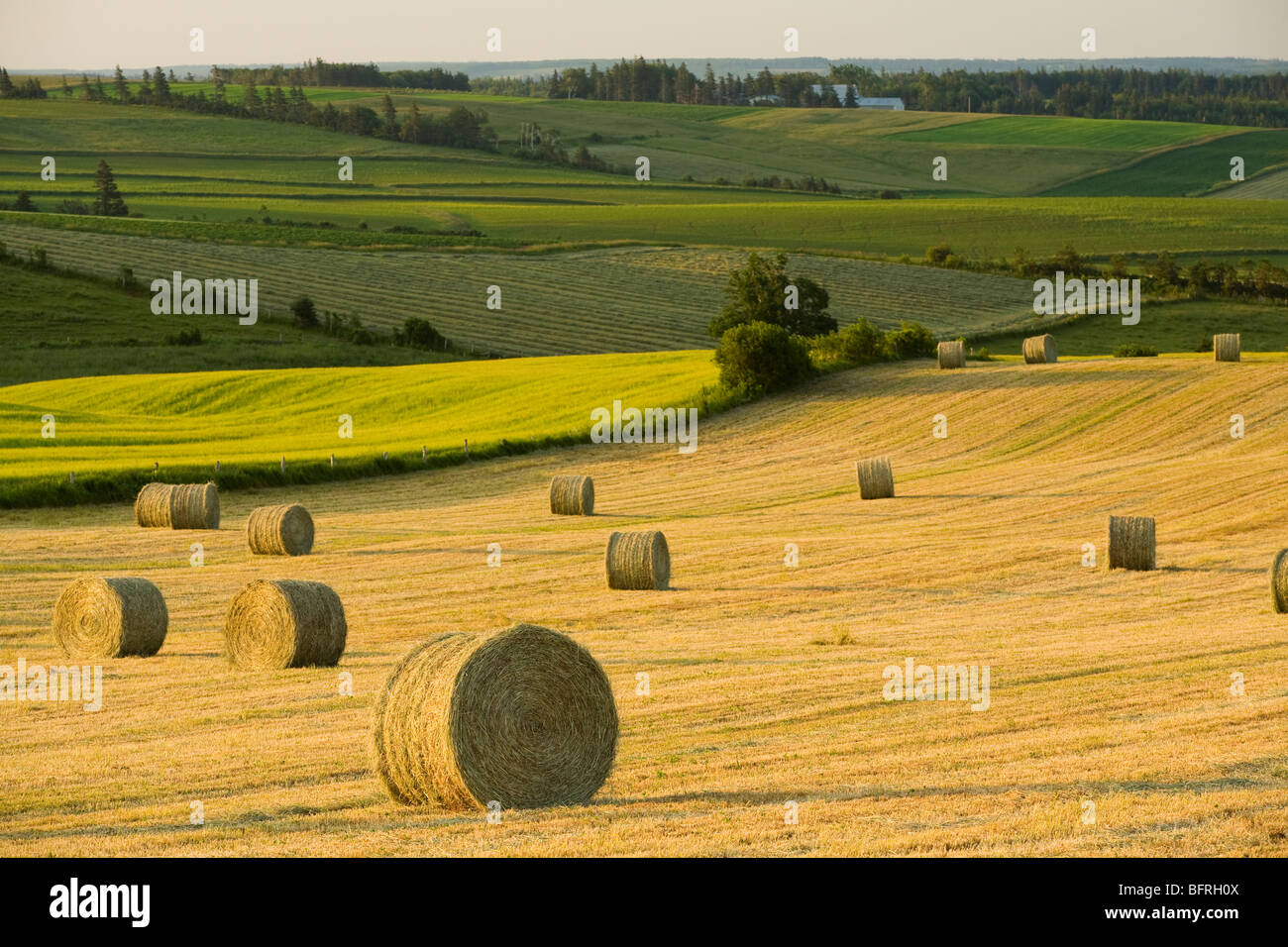 Long river hires stock photography and images Alamy