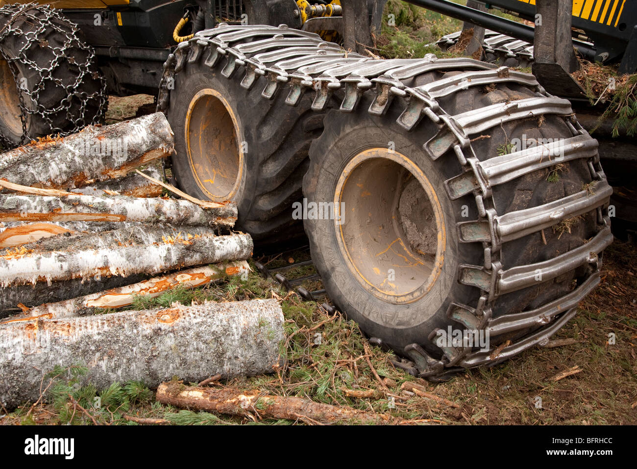 Wald harvester Reifen mit Traktion Ketten montiert Stockfotografie - Alamy