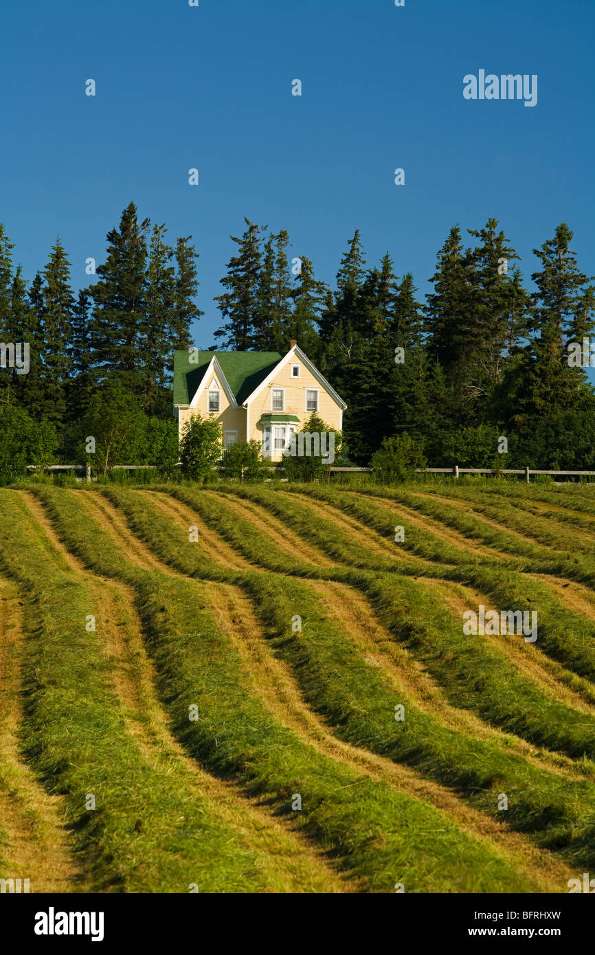 newly cut hay and farmhouse, New Glasgow, Prince Edward Island, Canada Stock Photo