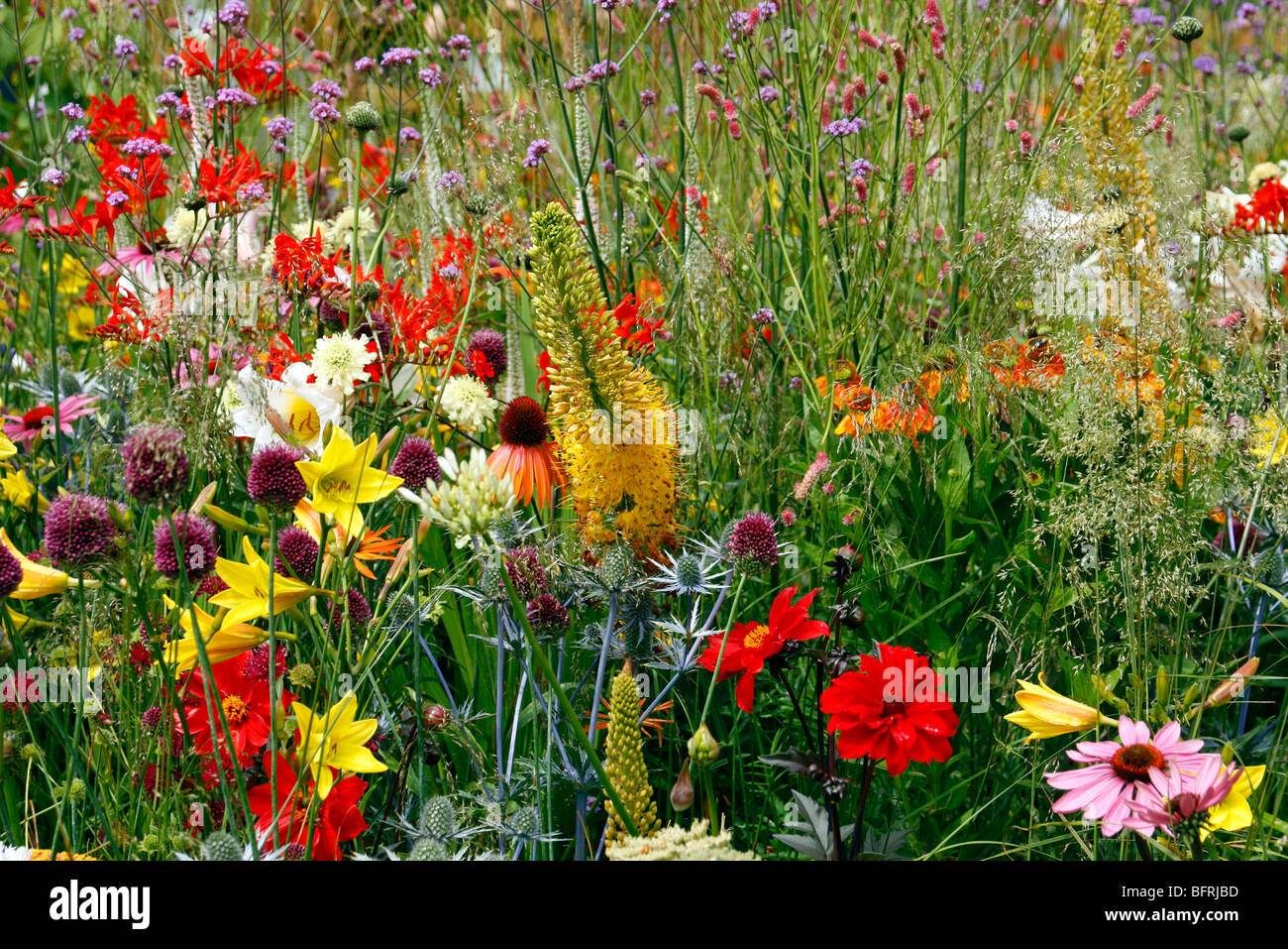 Sadolin Nature to Nurture Garden - Philippa Pearson Hampton Court 2009 Stock Photo