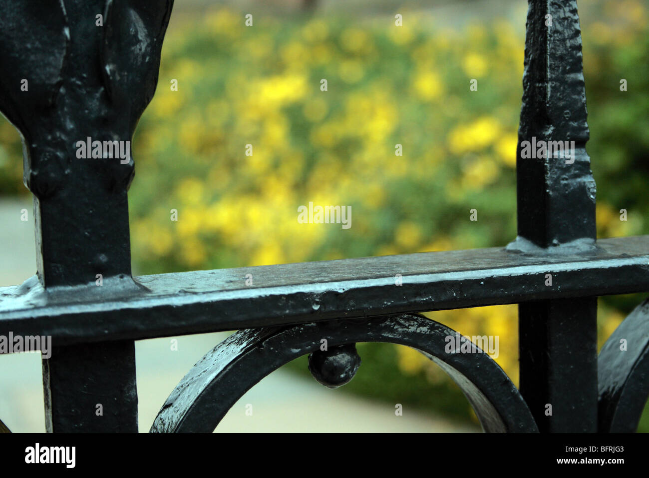 Iron gate railing with flowers in the background Stock Photo