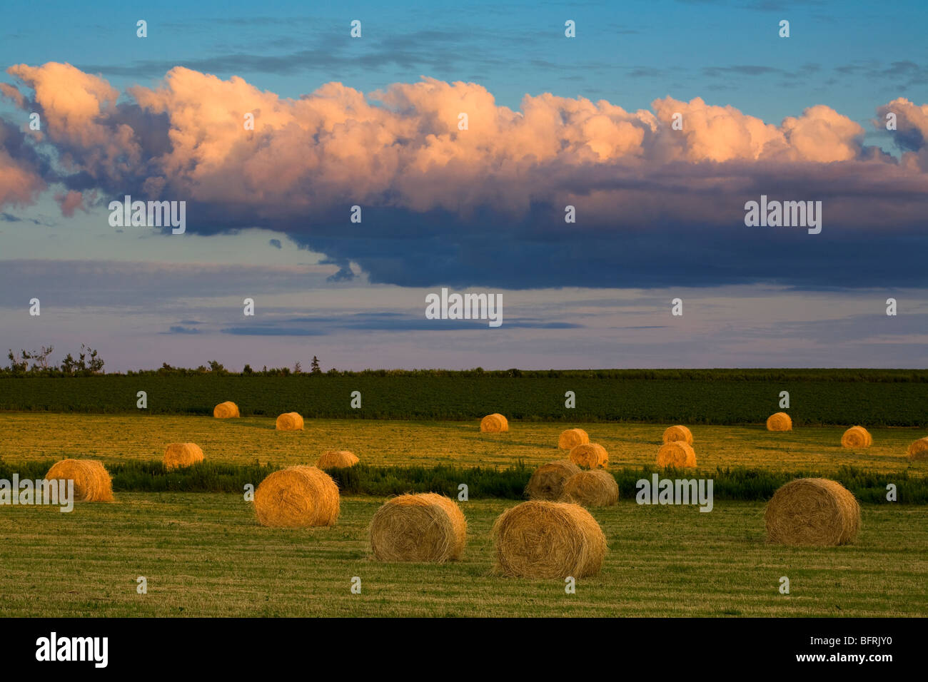 evening clouds and hay bales, Emerald, Prince Edward Island, Canada Stock Photo