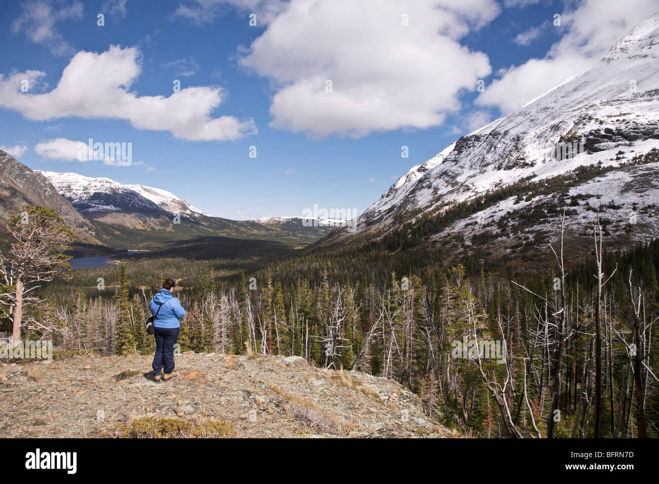 Hiker at Aster Park Overlook. Two Medicine area. Glacier National Park ...