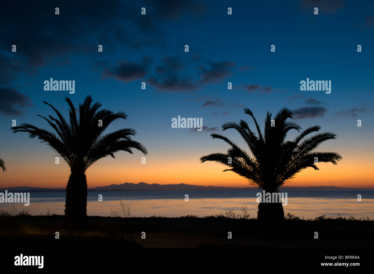 Greece. Zakynthos. Zante. Greek island. October. Colourful sunrise seen through palm trees on the road north out of Zakinthos Town to Krioneri. Dawn. Stock Photo