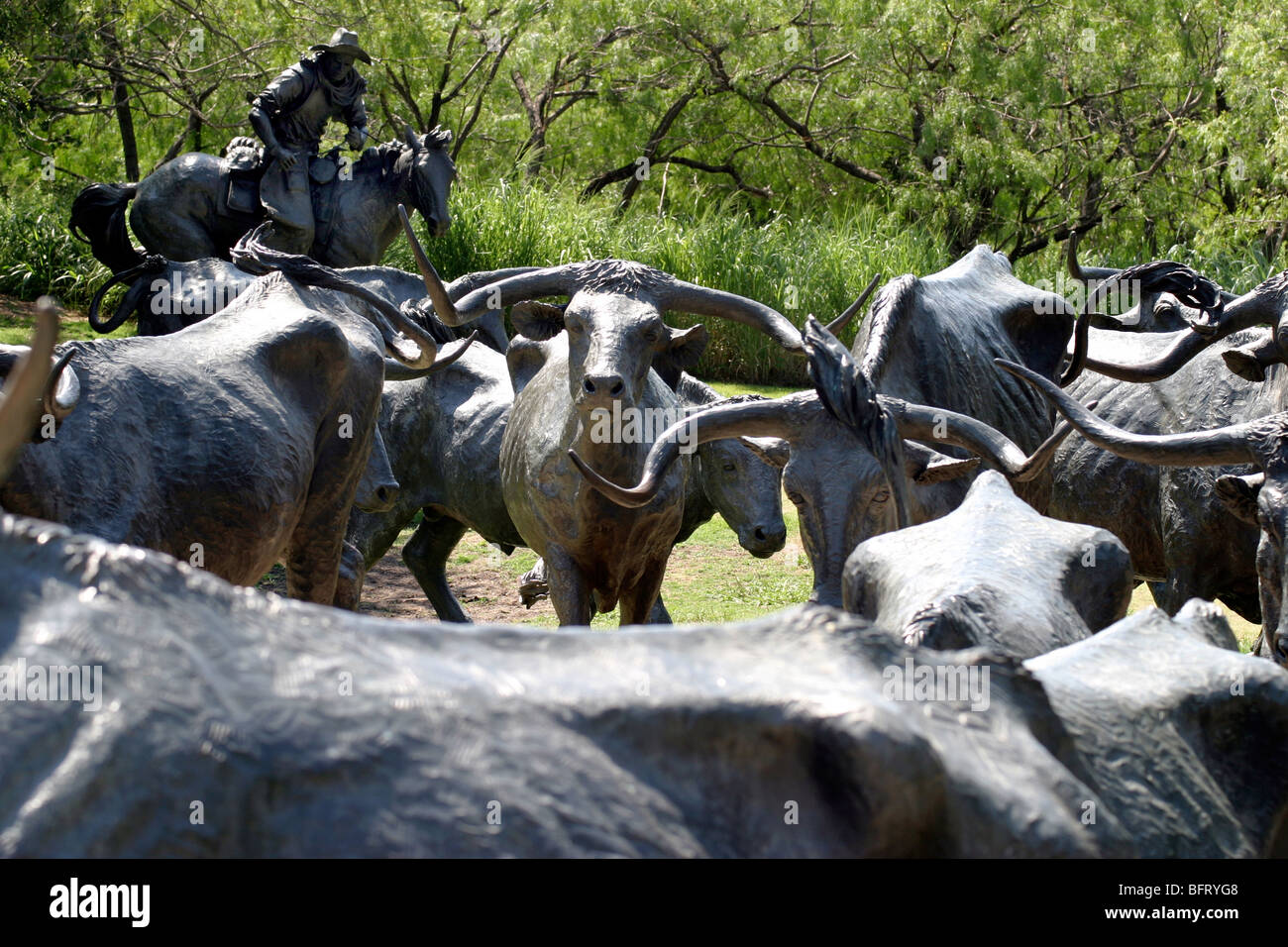 Texas bronze Longhorn Cattle Drive Sculpture, Convention Center Dallas