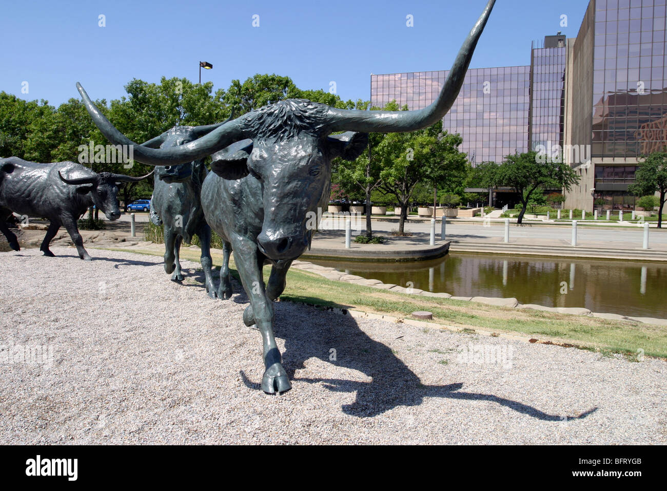 Texas bronze Longhorn Cattle Drive Sculpture, Convention Center Dallas ...