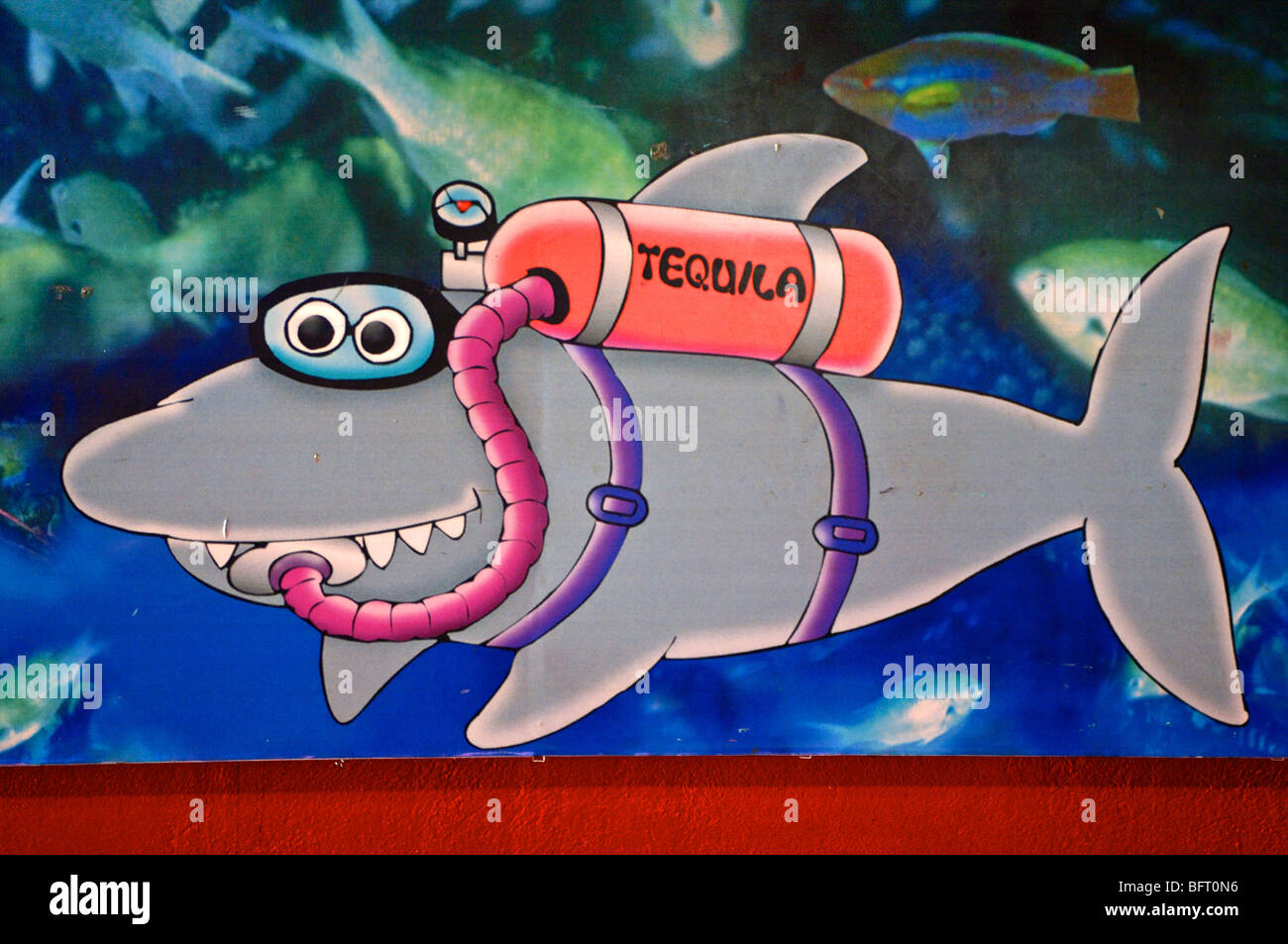 Aruba, Carlos and Charlies wall painting Stock Photo - Alamy