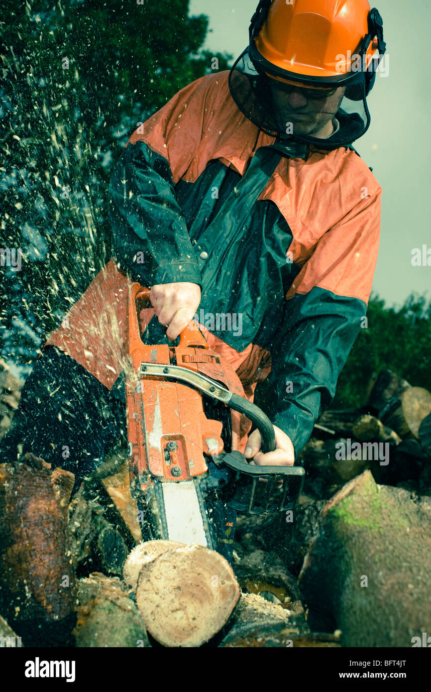 Man Cutting Tree with Chainsaw Stock Photo