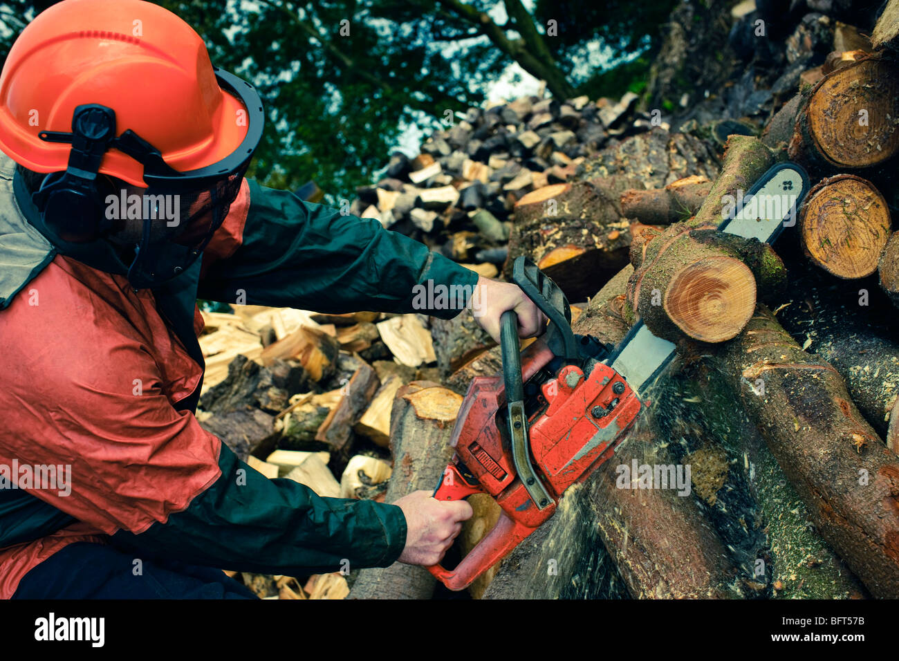 Man Cutting Tree with Chainsaw, Devon, England Stock Photo