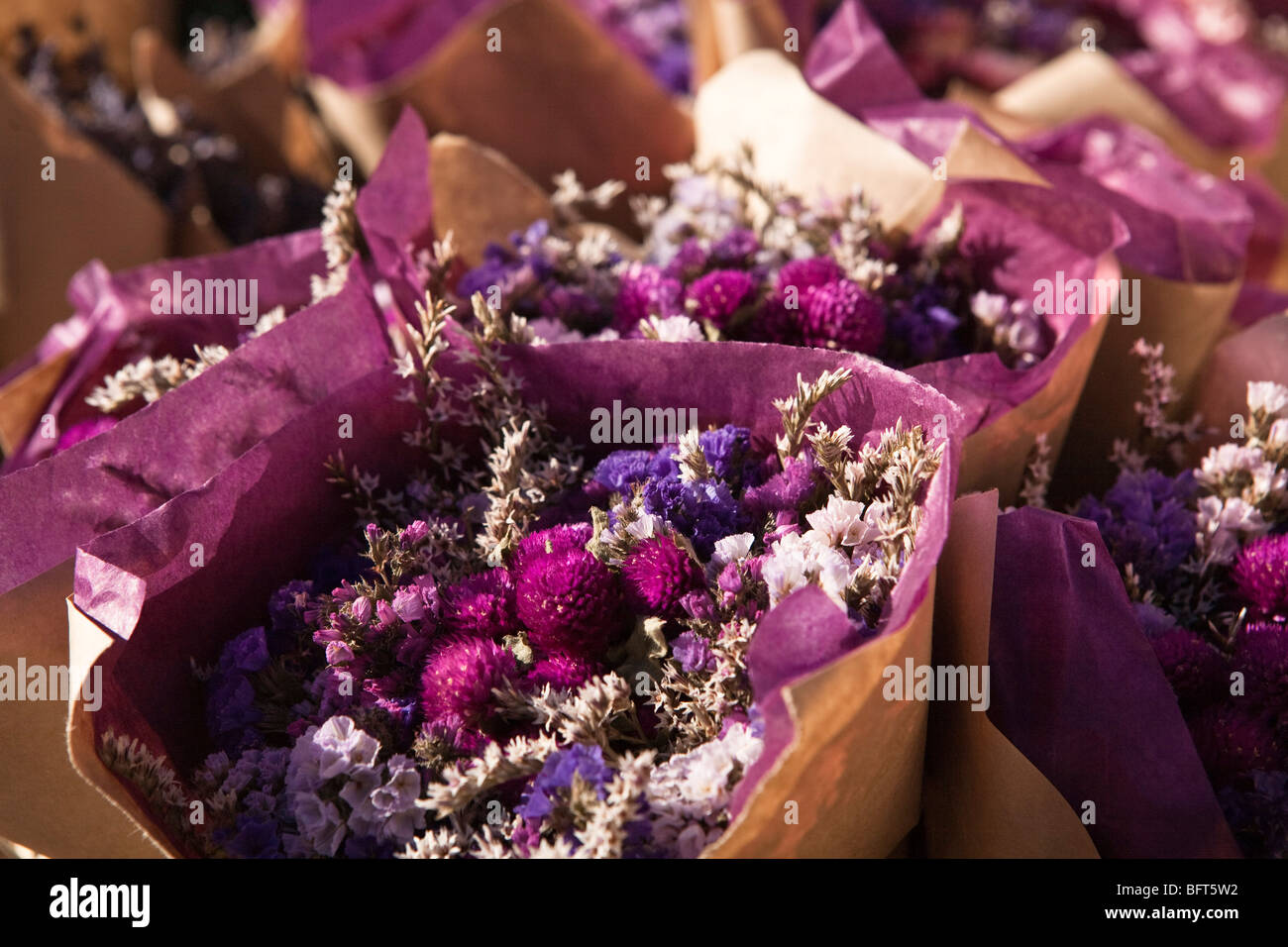 Plant stand icon hires stock photography and images Alamy