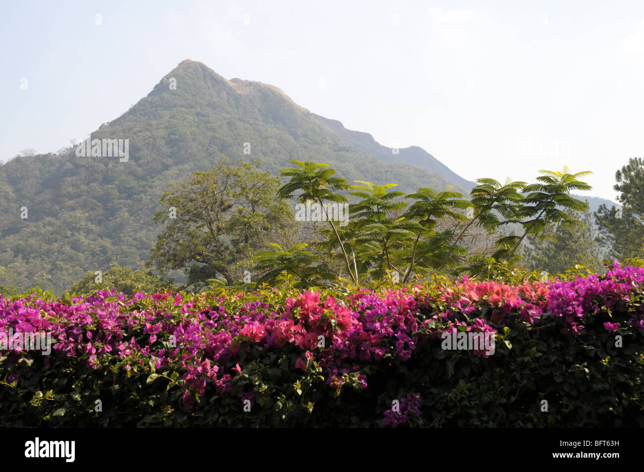 Mountain In El Valle Panama Stock Photo