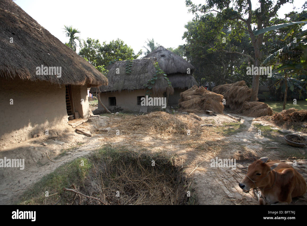 Namkhana Village, South 24 Parganas District, West Bengal, India Stock Photo