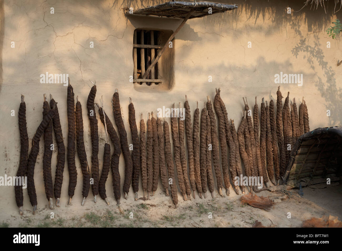 Namkhana Village, South 24 Parganas District, West Bengal, India Stock ...