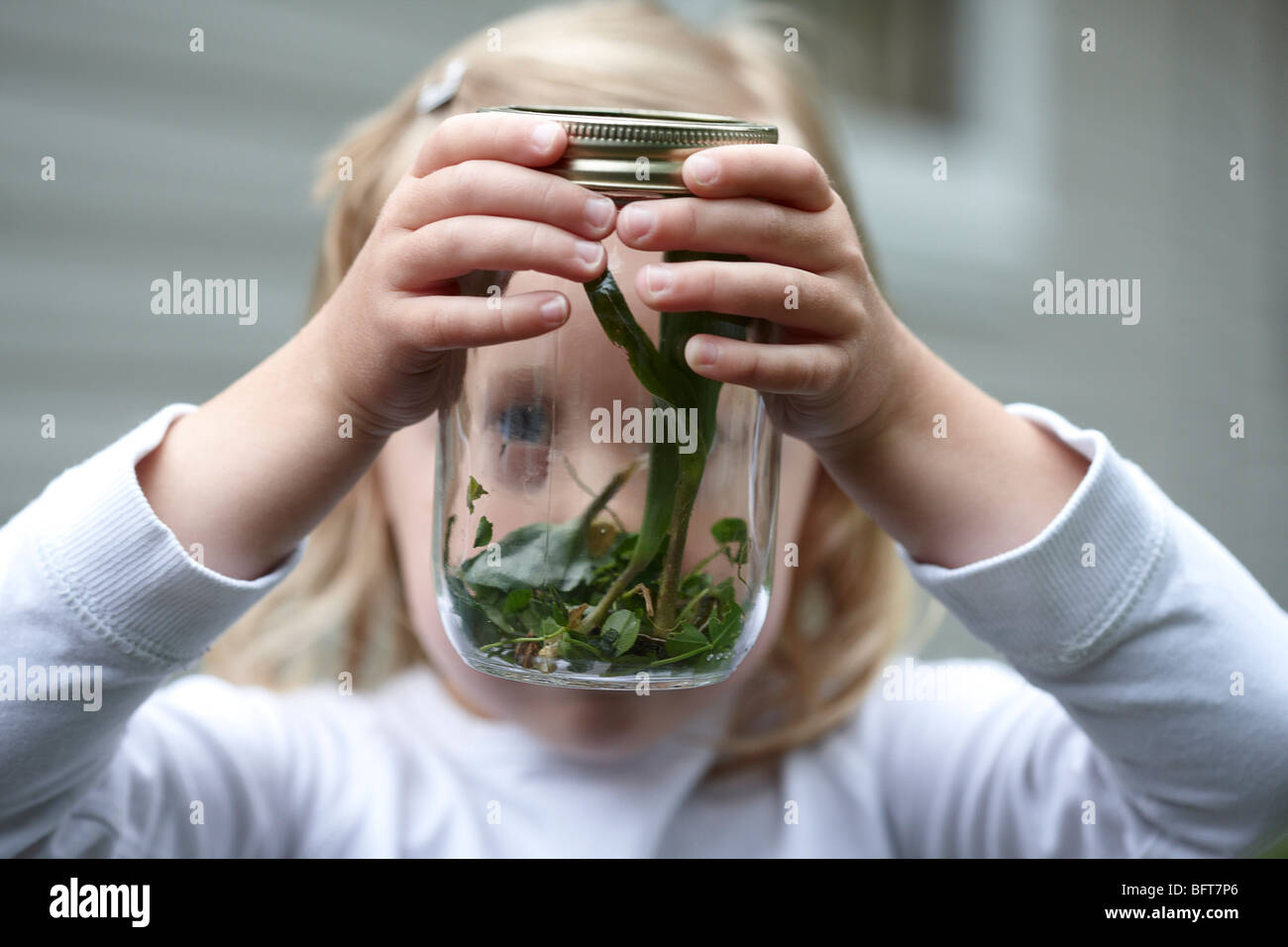 Girl Looking at a Caterpillar in a Jar Stock Photo Alamy