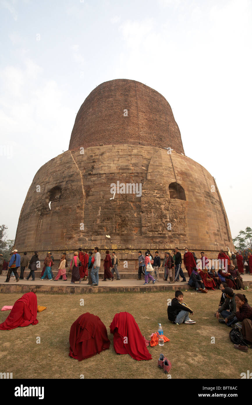 Dhamekh Stupa, Sarnath, Uttar Pradesh, India Stock Photo