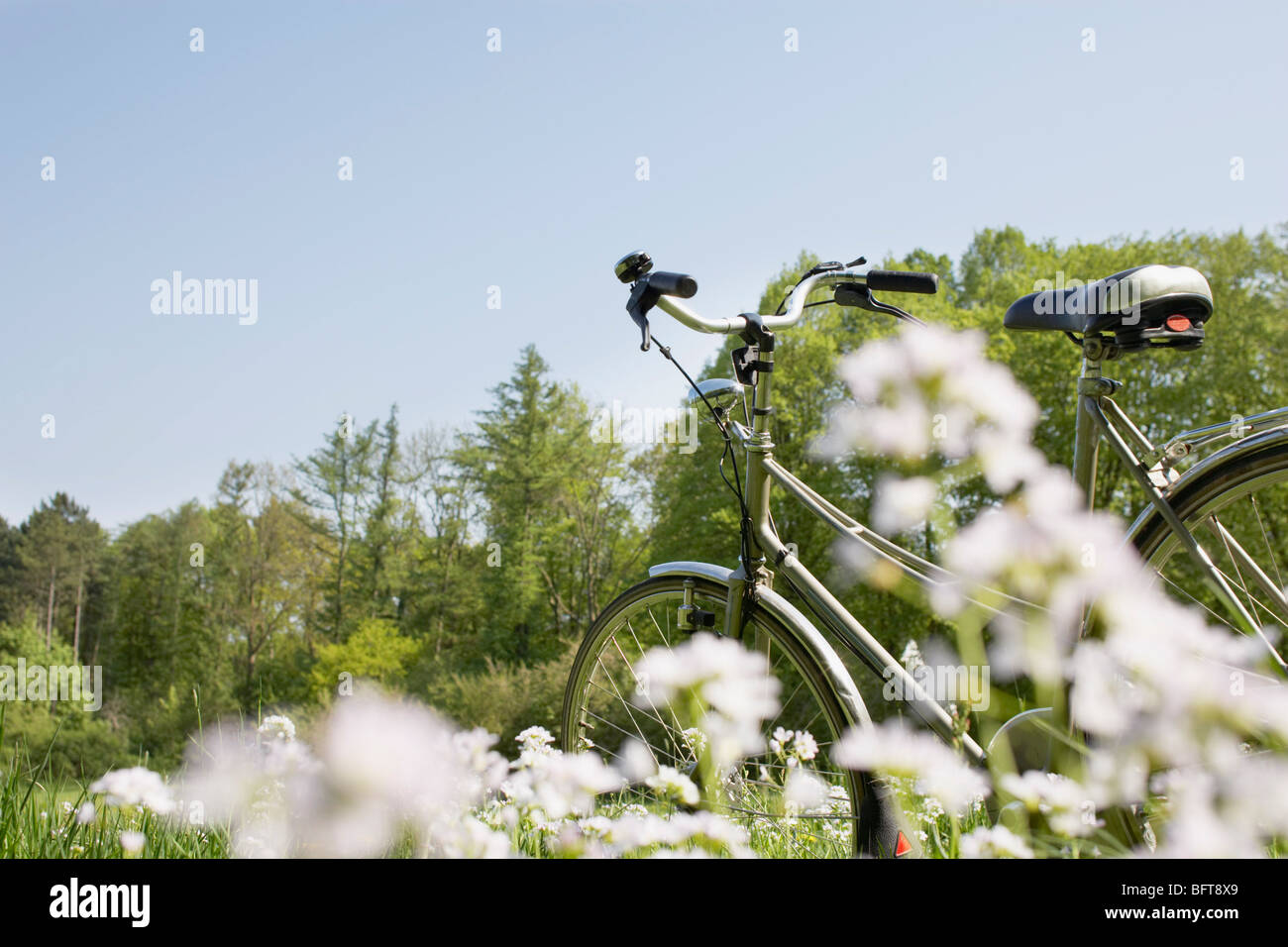 Bike in Meadow Stock Photo