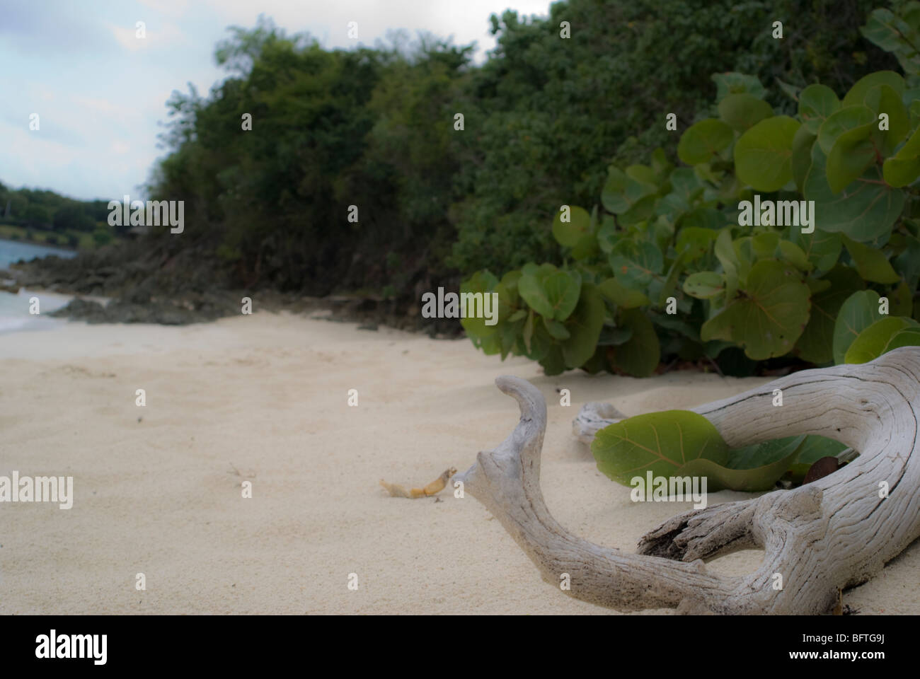 Honeymoon Bay Beach. St. John, US Virgin Islands Stock Photo Alamy