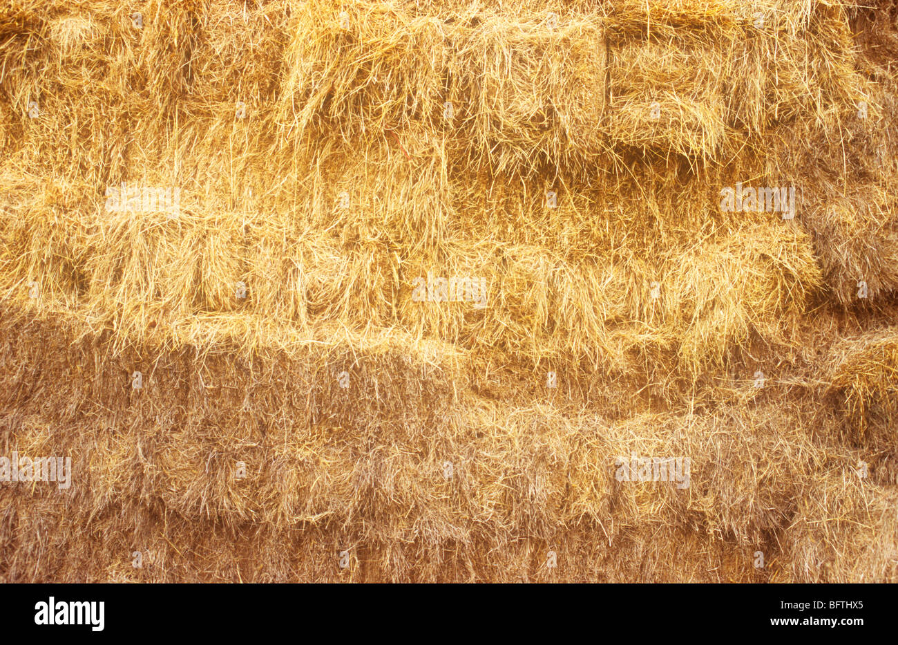 Detail of rectangular bales of golden hay stacked within a barn Stock Photo