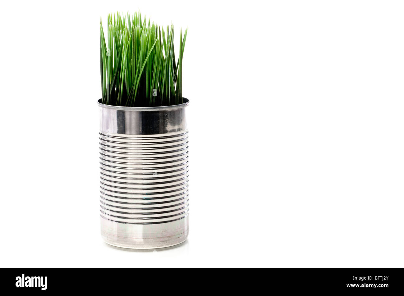 Horizontal image of green grass growing from a recycled aluminum can on white Stock Photo
