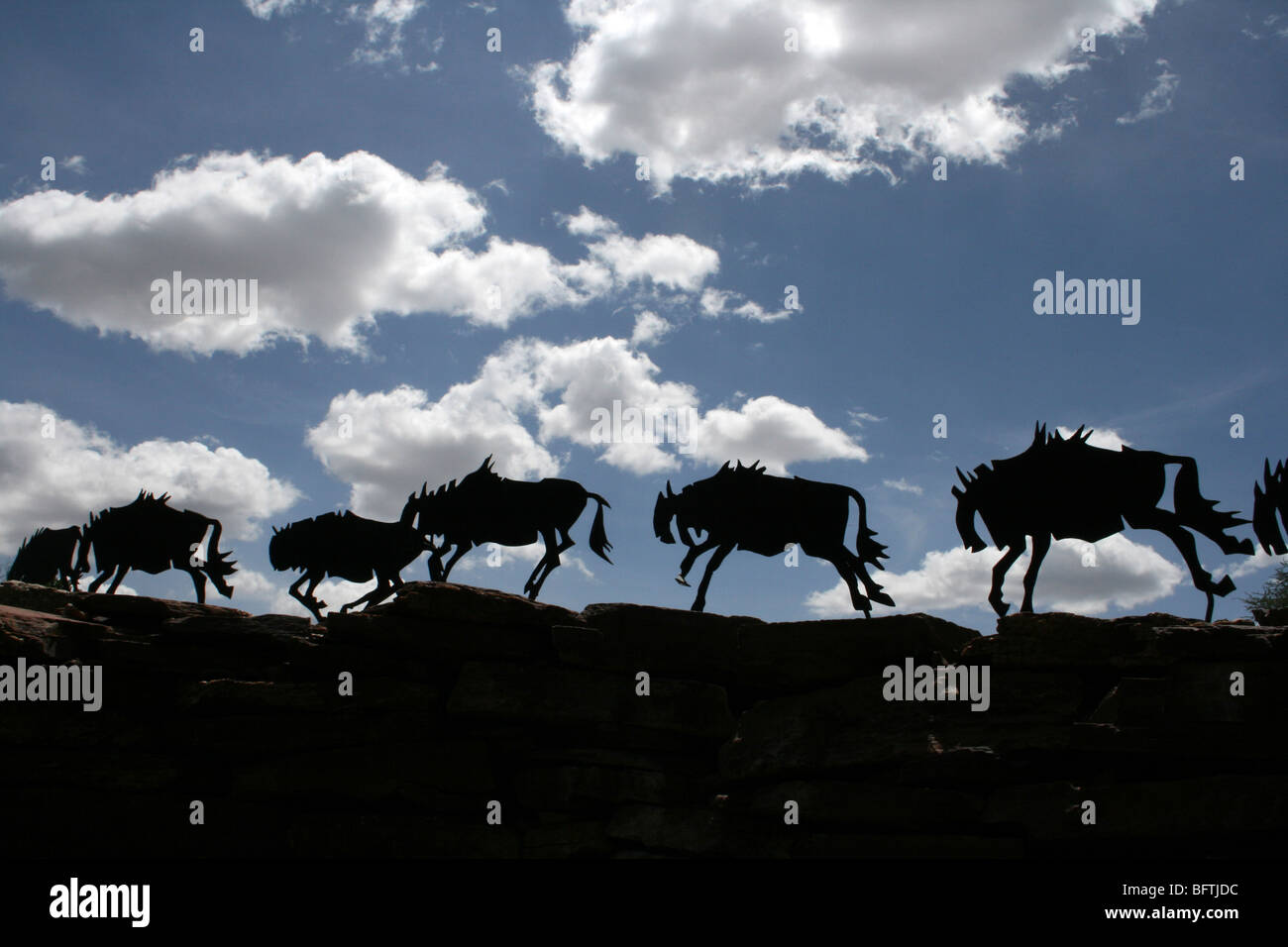 Line of Running Metal Wildebeest Taken In The Serengeti National Park, Tanzania Stock Photo