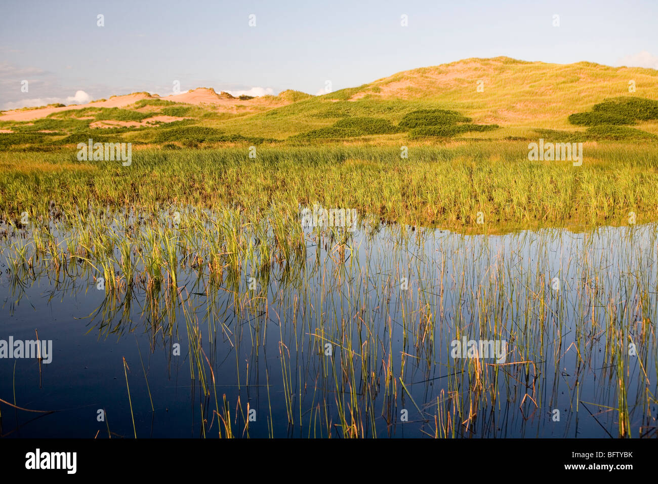 The Greenwich sand dunes in Prince Edward Island National Park Stock
