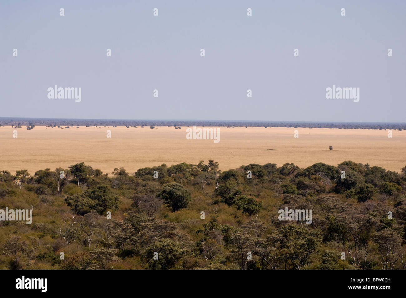 Busanga Plains, Kafue National Park, Zambia. Stock Photo