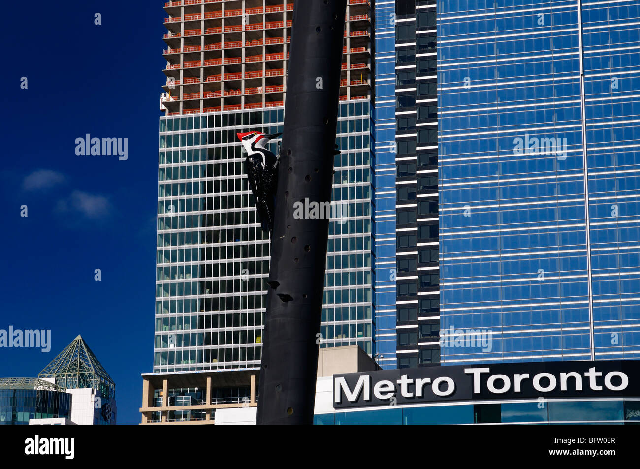 Woodpecker on tree trunk sculpture at Metro Toronto Convention Center with highrise towers and Metro Hall and blue sky in downtown Toronto Stock Photo