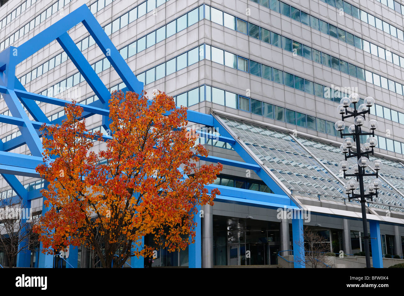 Blue corridor and red maple tree Scarborough Town Centre station at Albert Campbell Square Toronto in Fall Stock Photo