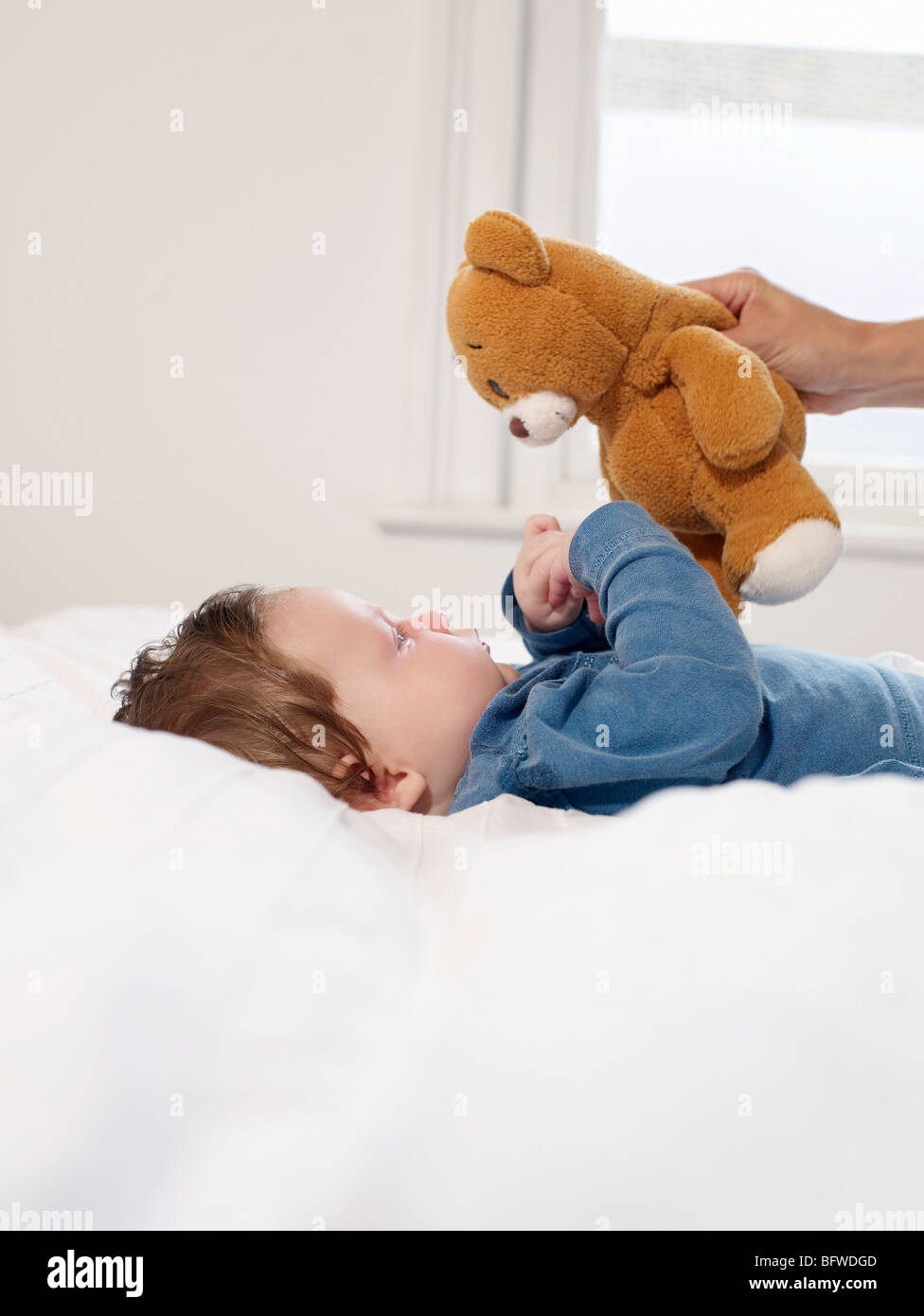 Baby looking at teddy bear Stock Photo - Alamy