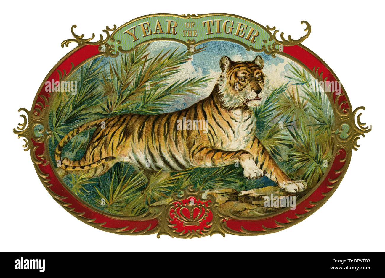 YEAR OF THE TIGER Stock Photo Alamy YEAR OF THE TIGER Stock Photo Alamy