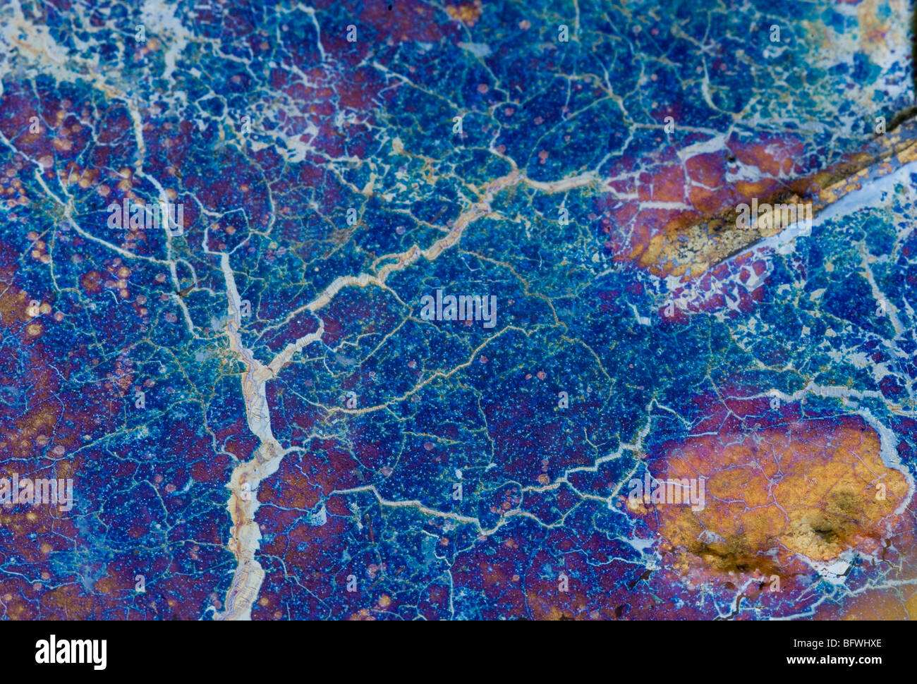 Colourful oil spill in roadside ditch, Greater Sudbury, Ontario, Canada Stock Photo