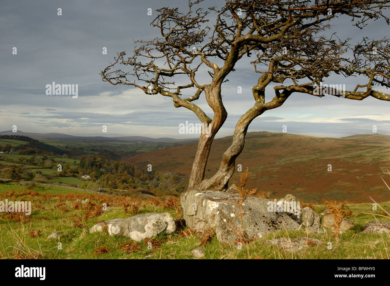 The view from Combestone Tor Dartmoor National Park Devon England Stock Photo