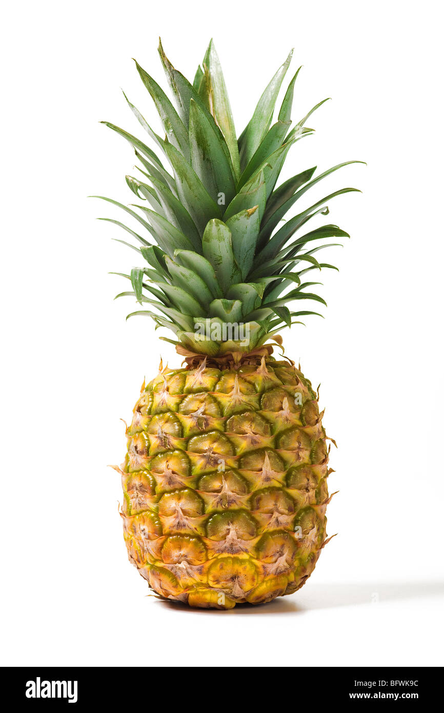 pineapple fruit isolated on white background Stock Photo - Alamy