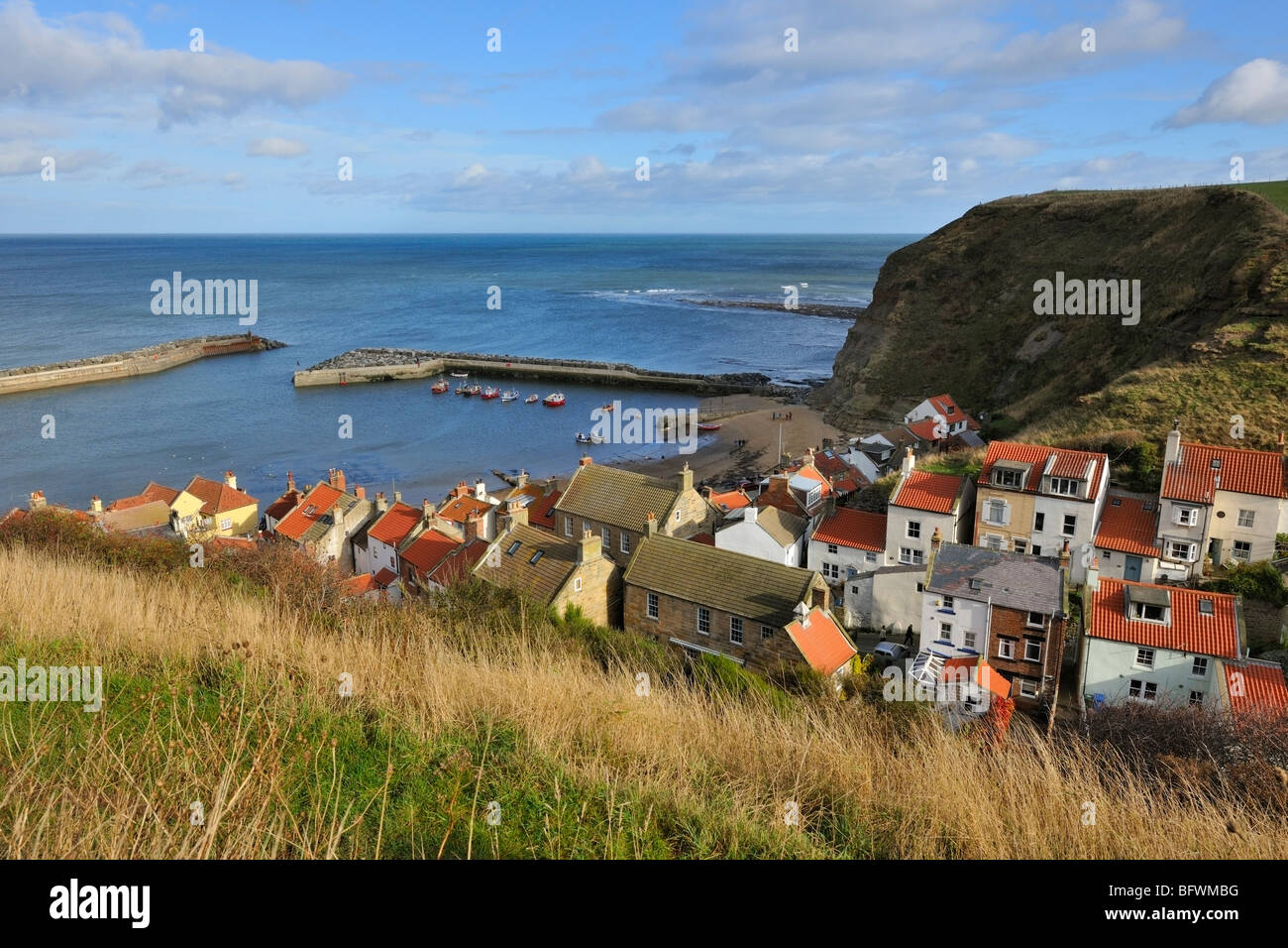 Hillside Cottages protected by Staithes Harbour, Yorkshire Heritage