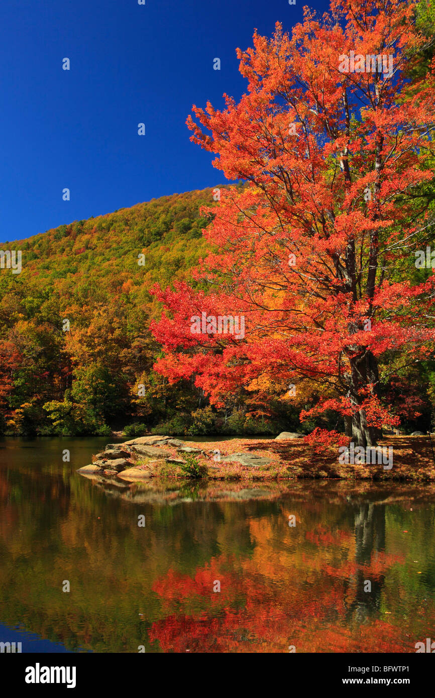 Autumn at Sherando Lake, Washington National Forest, Virginia