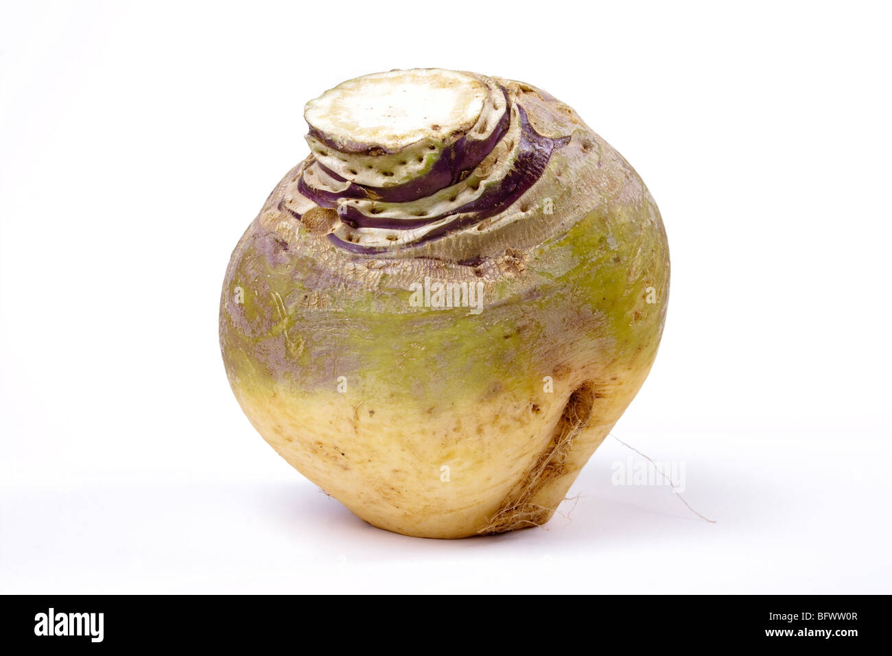 Swede or turnip isolated against white background. Stock Photo