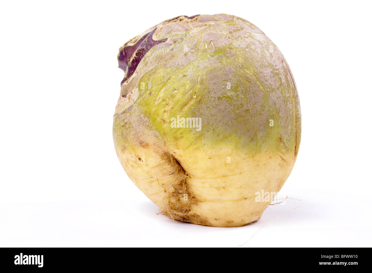 Swede or turnip isolated against white background. Stock Photo