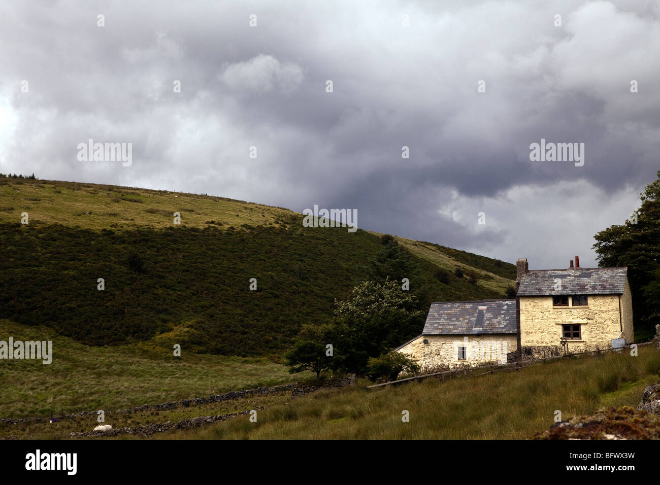 Cottage on Dartmoor in Devon Stock Photo