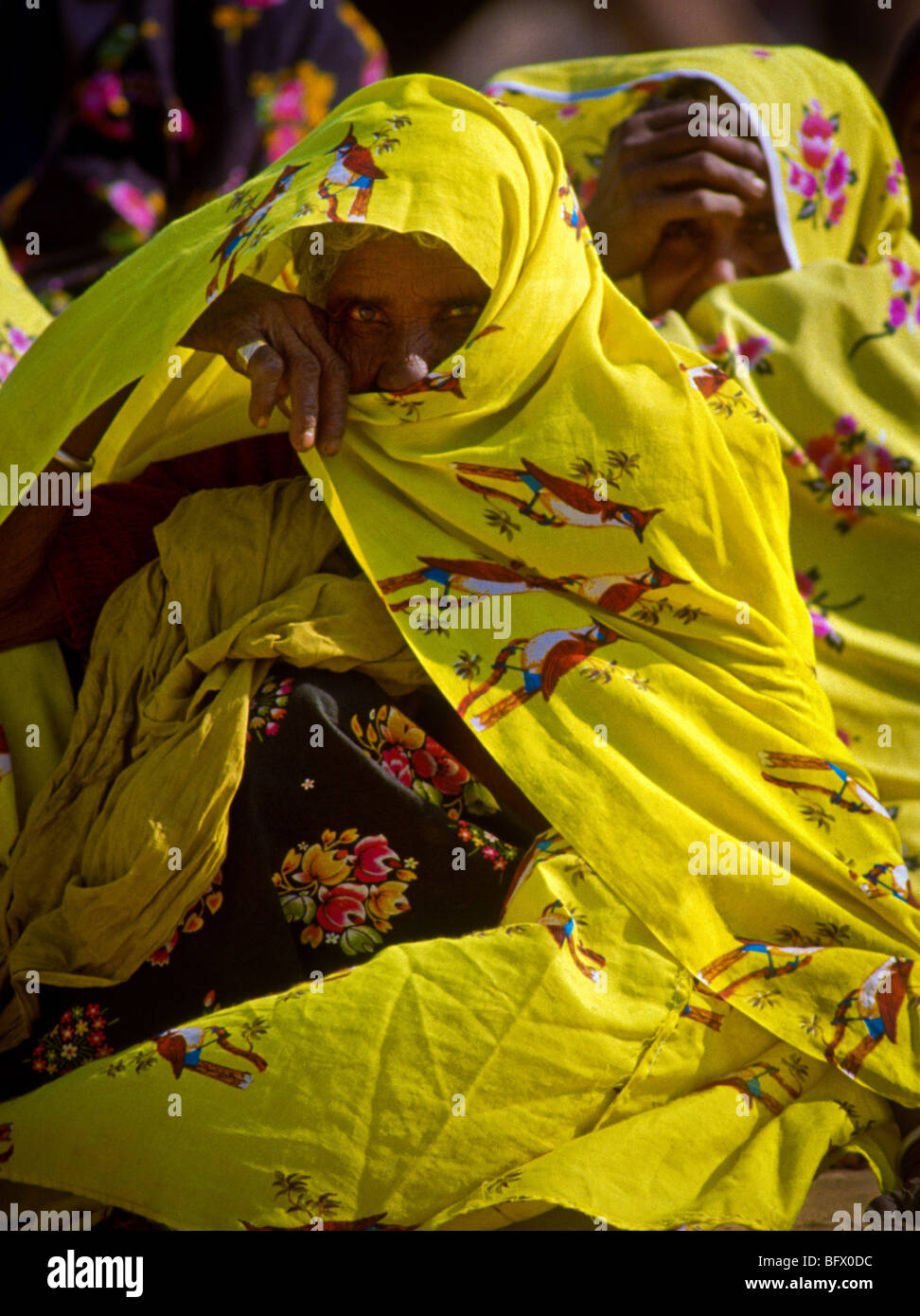 Nomadic Rajasthani women covered in colorful saris to protect them from the desert sun in Pushkar, India. Stock Photo