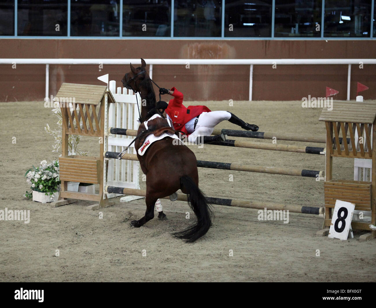 Refusal in show jumping ring hires stock photography and images Alamy