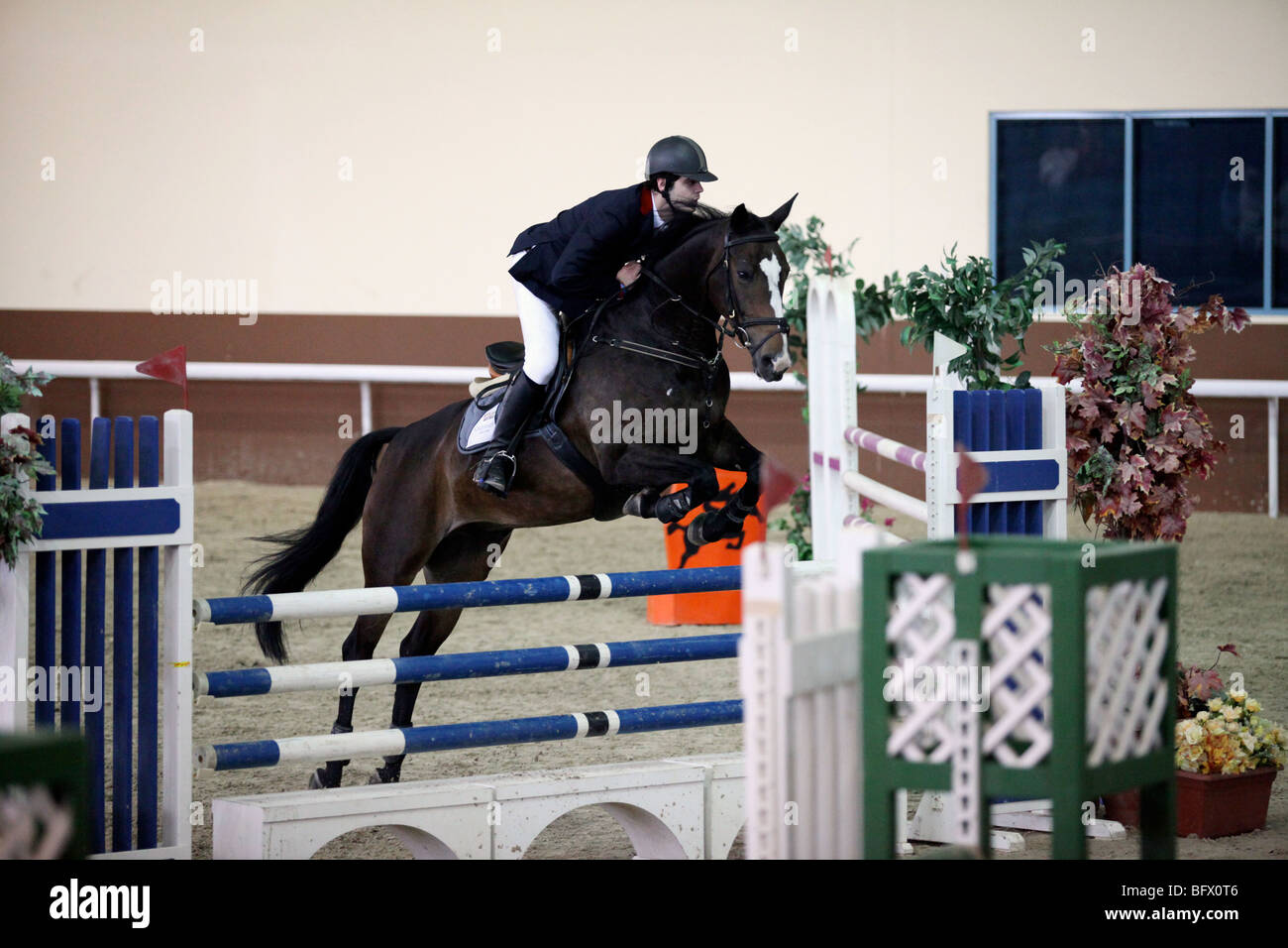 A competitor in a regional show-jumping event at the Qatar Equestrian Federation's indoor Arena in Doha Stock Photo