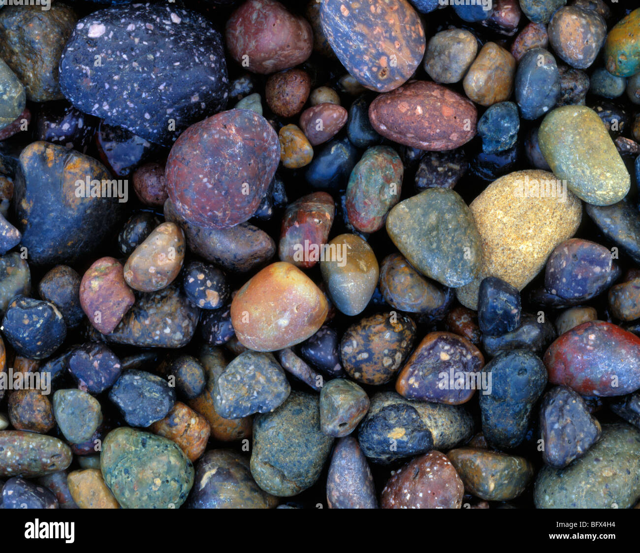 colorful rocks, Point Lobos State Reserve, California Stock Photo - Alamy