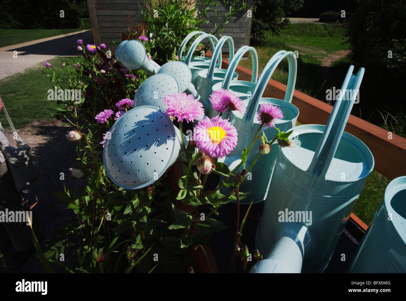 Display of watering cans hires stock photography and images Alamy